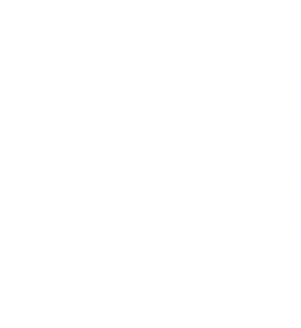 Logo BelUnivers